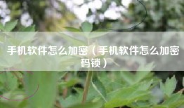 手机软件怎么加密（手机软件怎么加密码锁）