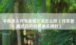 手机进入开发者模式会怎么样（开发者模式打开好还是关闭好）