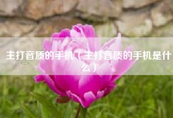 主打音质的手机（主打音质的手机是什么）