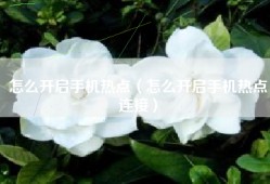 怎么开启手机热点（怎么开启手机热点连接）