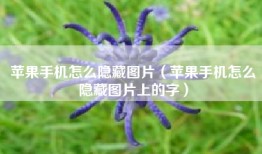 苹果手机怎么隐藏图片（苹果手机怎么隐藏图片上的字）