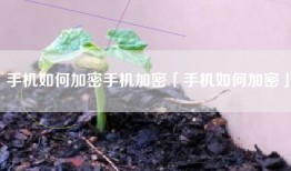 手机如何加密手机加密「手机如何加密」