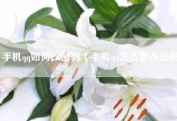 手机qq如何改密码（手机qq怎么更改密码）