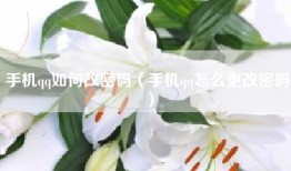 手机qq如何改密码（手机qq怎么更改密码）