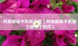 网易邮箱手机版下载（网易邮箱手机版下载不了附件）