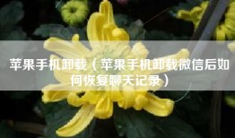 苹果手机卸载（苹果手机卸载微信后如何恢复聊天记录）