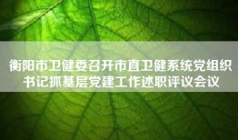 衡阳市卫健委召开市直卫健系统党组织书记抓基层党建工作述职评议会议