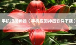 手机抠图神器（手机抠图神器软件下载）