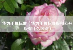 华为手机标准（华为手机标准版和公开版有什么区别）