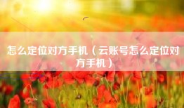 怎么定位对方手机（云账号怎么定位对方手机）