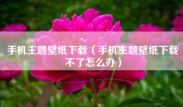 手机主题壁纸下载（手机主题壁纸下载不了怎么办）