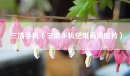 三清手机（三清手机壁纸高清图片）