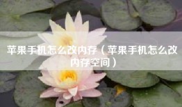 苹果手机怎么改内存（苹果手机怎么改内存空间）