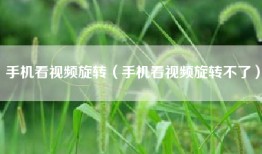 手机看视频旋转（手机看视频旋转不了）