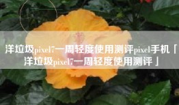洋垃圾pixel7一周轻度使用测评pixel手机「洋垃圾pixel7一周轻度使用测评」