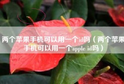 两个苹果手机可以用一个id吗（两个苹果手机可以用一个apple id吗）