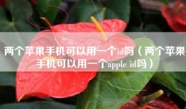 两个苹果手机可以用一个id吗（两个苹果手机可以用一个apple id吗）