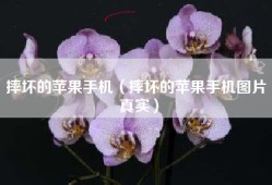 摔坏的苹果手机（摔坏的苹果手机图片 真实）