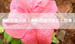 手机迅雷闪退（手机迅雷闪退怎么回事）