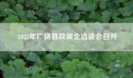 2025年广饶县政银企洽谈会召开