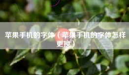 苹果手机的字体（苹果手机的字体怎样更换）