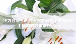 华为哪款手机拍照效果最好（华为哪款手机拍照效果最好2024）