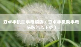 安卓手机助手电脑版（安卓手机助手电脑版怎么下载）