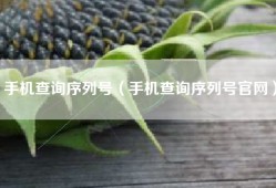 手机查询序列号（手机查询序列号官网）