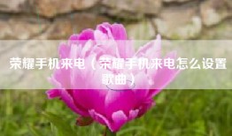 荣耀手机来电（荣耀手机来电怎么设置歌曲）