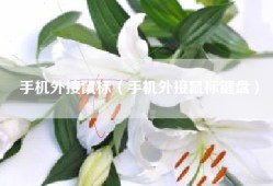 手机外接鼠标（手机外接鼠标键盘）