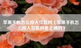 苹果手机怎么接入互联网（苹果手机怎么接入互联网是正确的）