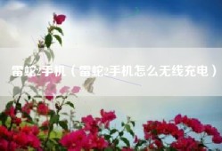 雷蛇2手机（雷蛇2手机怎么无线充电）