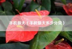 手机最大（手机最大多少分贝）