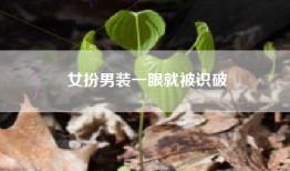 女扮男装一眼就被识破