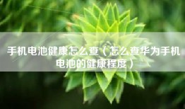 手机电池健康怎么查（怎么查华为手机电池的健康程度）