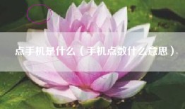 点手机是什么（手机点数什么意思）
