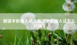 俄语手机输入法（俄语手机输入法怎么切换）