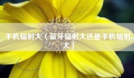 手机辐射大（蓝牙辐射大还是手机辐射大）