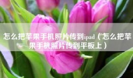 怎么把苹果手机照片传到ipad（怎么把苹果手机照片传到平板上）