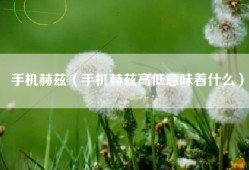 手机赫兹（手机赫兹高低意味着什么）