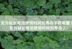 充分延长电池使用时间和寿命手机电量「充分延长电池使用时间和寿命」