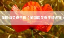 美国海关查手机（美国海关查手机虐猫）