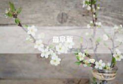 最阜新