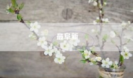 最阜新