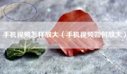 手机视频怎样放大（手机视频如何放大）