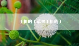 手机的（苹果手机的）