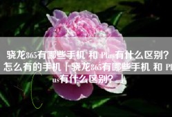 骁龙865有哪些手机 和 Plus有什么区别？怎么有的手机「骁龙865有哪些手机 和 Plus有什么区别？」