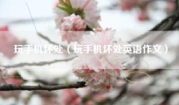 玩手机坏处（玩手机坏处英语作文）