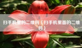 扫手机里的二维码（扫手机里面的二维码）