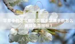 苹果手机怎么删除页面（苹果手机怎么删除页面图标）
